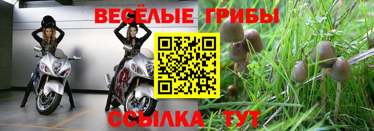 Псилоцибиновые грибы MAGIC MUSHROOMS Омск