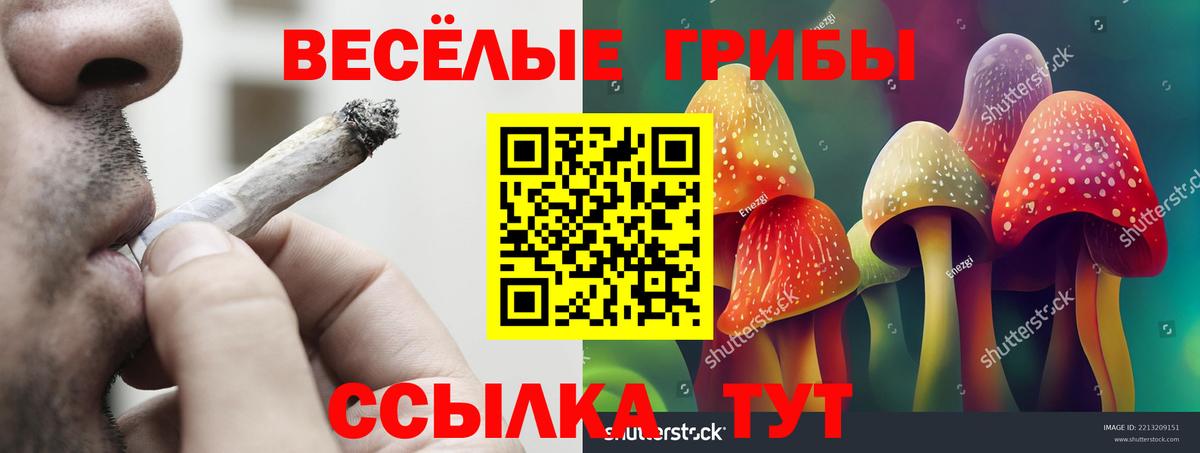 где купить   Вход с VPN  Омск  Галлюциногенные грибы Magic Shrooms 