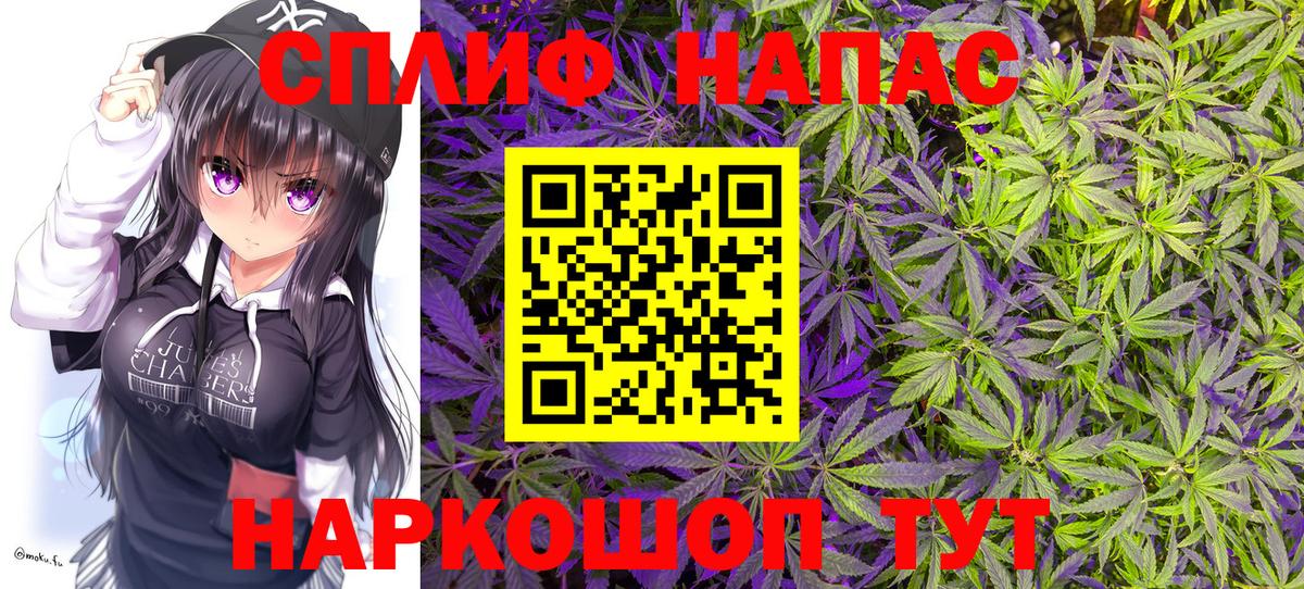 Конопля OG Kush Омск